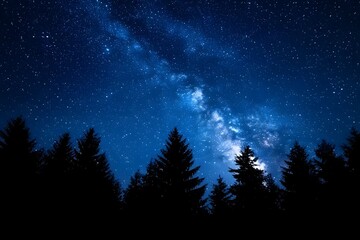 Naklejka premium Silent forest under starry night sky.