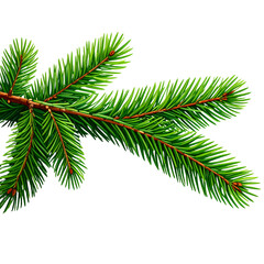 Green Christmas pine twig