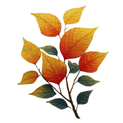 Obraz premium Autumn Leaves Branch With Warm Gradient Colors On A Transparent Background Fall