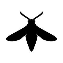 black and white moth silhouette isolated on white background. butterfly vector illustration. moth, insect, butterfly, wings, art, design, illustration, graphic, nature