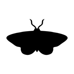 black and white moth silhouette isolated on white background. butterfly vector illustration. moth, insect, butterfly, wings, art, design, illustration, graphic, nature