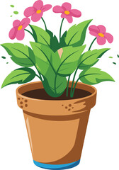 flower in a pot
