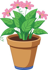 flower in pot