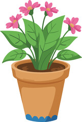 flower in pot