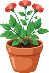 red rose in a pot