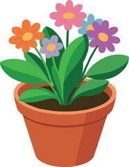 flower in pot