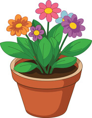 flower in pot