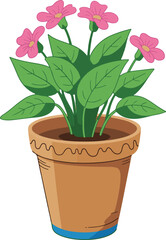 flower in pot