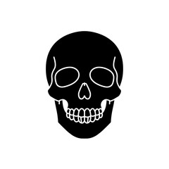 Fototapeta premium skull and crossbones