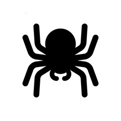 A black silhouette of a spider with eight legs, viewed from above, against a white background.