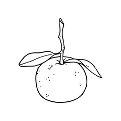 minimalist orange with leaves on a branch