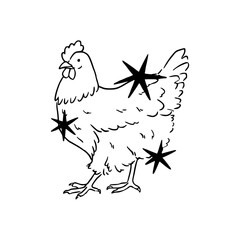 cute chicken with stars