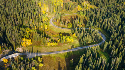 Aerial drone footage of S curve road winding through green pine and aspen forest during early fall...