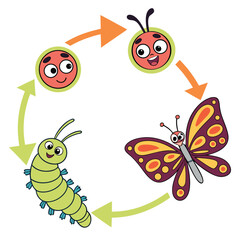 set of insects butterfly 