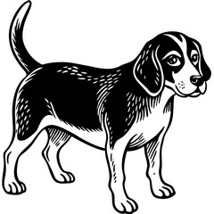 Loyal beagle dog portrait with expressive eyes and alert stance, perfect for pet lovers and animal branding
