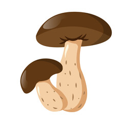 Birch Bolete Mushroom Cartoon isolated on white background. Boletus Vector Illustration. Edible mushroom. Autumn Forest Bolete Mushroom. Flat Simple fall plant food illustration Sticker.