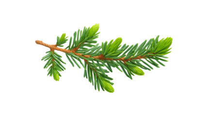 A detailed image of a pine twig showcasing its natural texture and color
