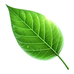 Obraz premium Single vibrant green leaf with detailed veins on black background