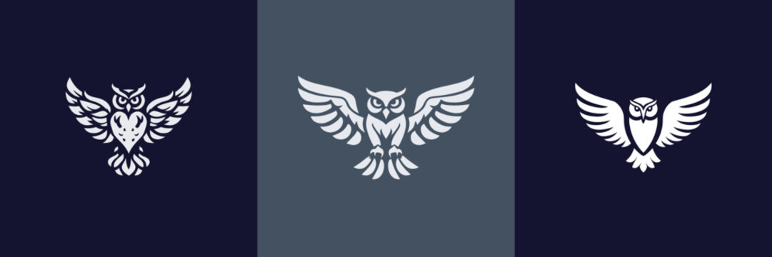 Three distinct owl designs feature intricate details and different poses on a dark backdrop. Each owl displays various artistic interpretations and styles.