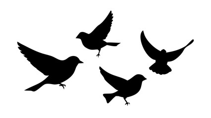 Silhouette of birds in flight, symbolizing freedom, peace, and the beauty of nature with their graceful motion and elegant wings
