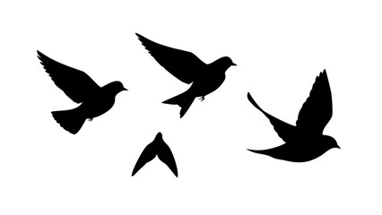 Silhouette of birds flying, representing freedom, peace, and the beauty of nature with their graceful flight and elegant motion