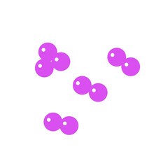 staphylococcus bacteria