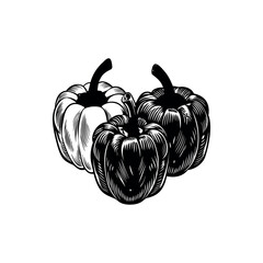 Monochromatic Ink Illustration of Three Ripe Bell Peppers with Detailed Line Work silhouette vector