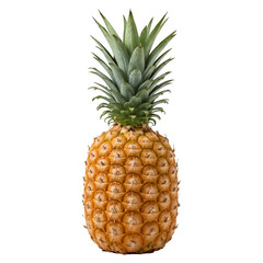 Fototapeta premium pineapple on white background
