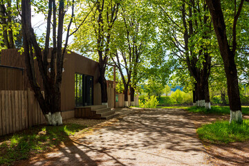 The facade of the beach cafe is surrounded by green maple trees