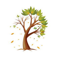 Obraz premium Vibrant tree with falling autumn leaves and green spring foliage