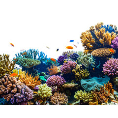 Beautiful colorful Tropical coral reef on a white background
