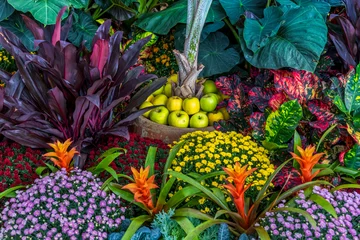 Keuken achterwand Tuin Colorful mums and plants decoration during autumn in Frederik Meijer gardens in Grand rapids, Michigan.  © SNEHIT PHOTO