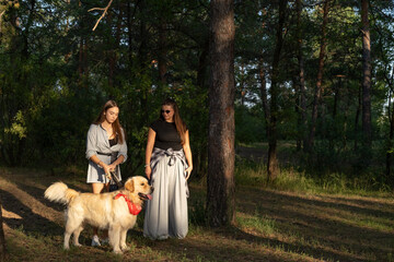 Two girls are walking with retriever dog in the pine forest.