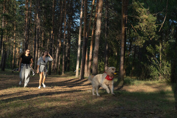 Obraz premium Two girls are walking with retriever dog in the pine forest.