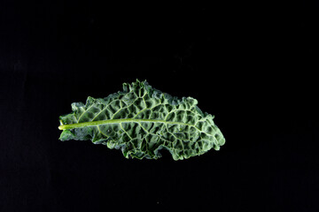 Close up of home grown Kale, vegetable