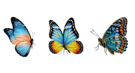 A collection of three vibrant and detailed butterflies against, isolated On a transparent background