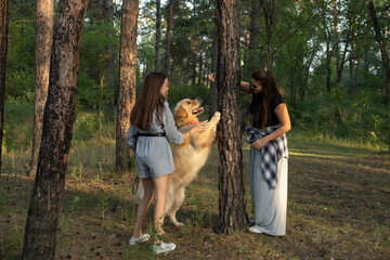 Fototapeta premium Two girls are walking with retriever dog in the pine forest.