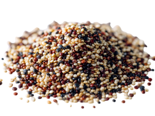 Heap of multicolored quinoa seeds. Healthy food concept.