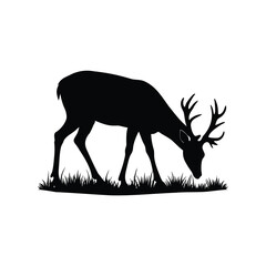 Black silhouette of a grazing buck in the grass field art, deer grazing on meadow silhouette vector illustration © MstHumaira