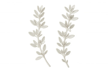 Fototapeta premium Two white branches with leaves creating a minimalist and elegant composition on a transparent background
