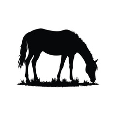 Silhouette of horse grazing on grass in black and white image, horse grazing silhouette vector illustration