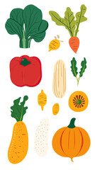 Flat minimalist vector illustration of fresh vegetables including pumpkin, red bell pepper, leafy greens, and root vegetables in vibrant colors