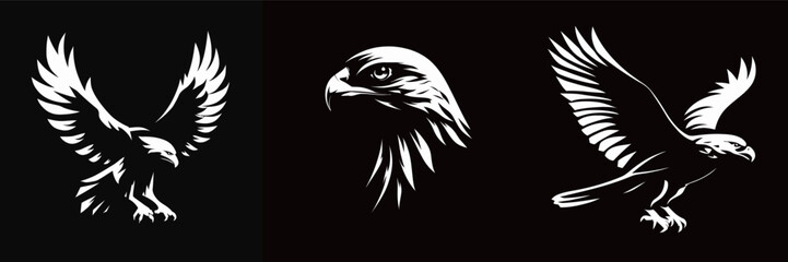 Fototapeta premium Three striking black and white illustrations of eagles in various poses emphasize the beauty and strength of these birds. The designs feature detailed wings and expressive faces.