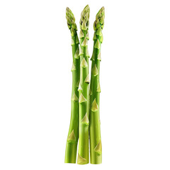 Obraz premium Fresh Green Asparagus Spears Isolated on White Background
