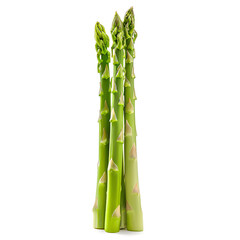 Fototapeta premium Fresh Green Asparagus Spears Isolated on White Background