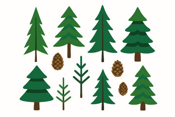 illustration of pine trees and pinecones on white background
