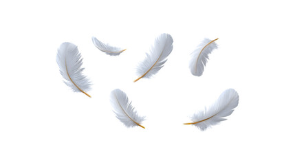 Obraz premium A white feather gently floating in the air