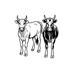 Two standing cattle illustrated in black and white contrasting styles Silhouette vector