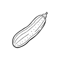 Black and white outline drawing of a marrow squash on a white background Silhouette vector
