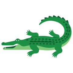 Vector illustration of an alligator in flat style on white background